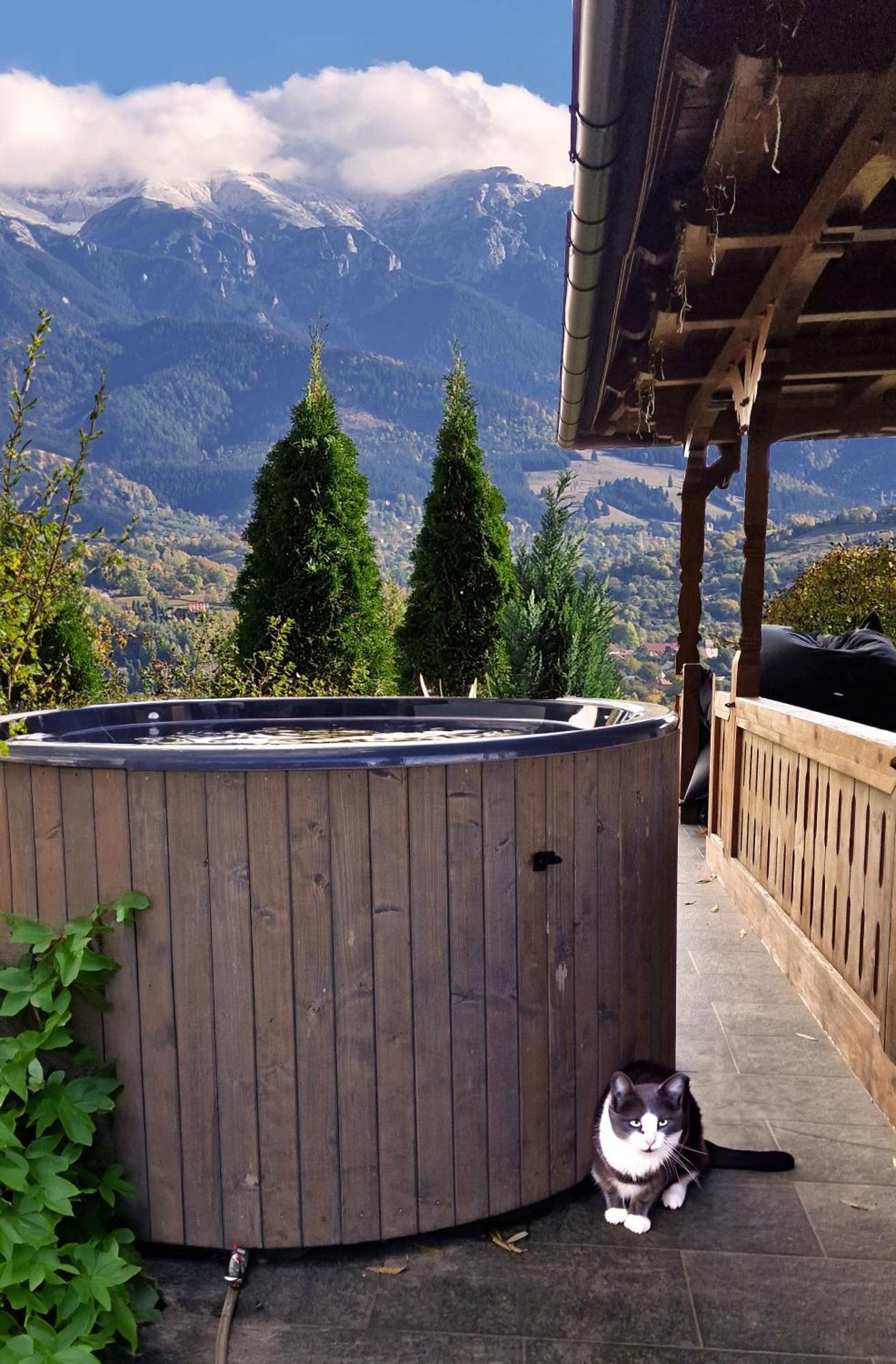 Plai Din Bran Bran (Brasov) Exterior foto