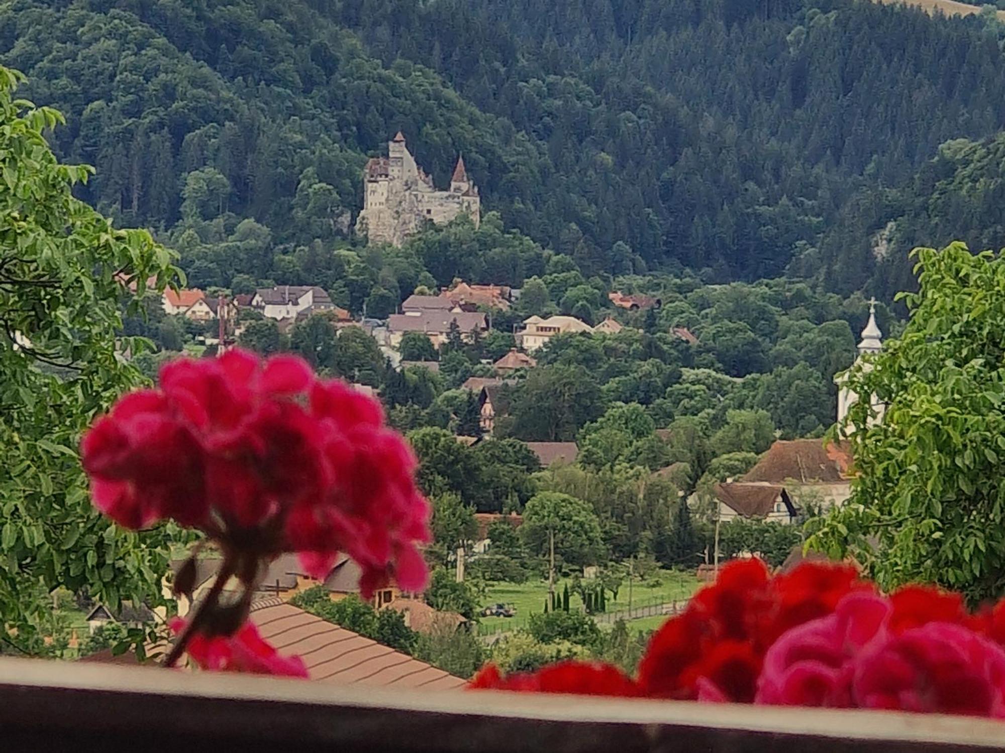 Plai Din Bran Bran (Brasov) Exterior foto