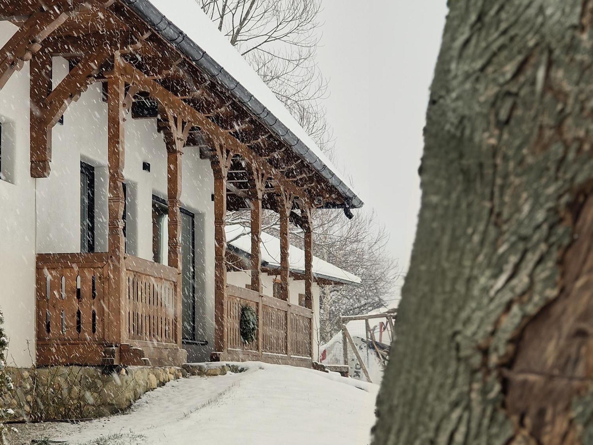 Plai Din Bran Bran (Brasov) Exterior foto